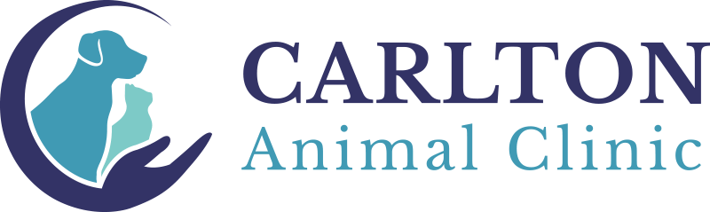 Carlton Animal Clinic