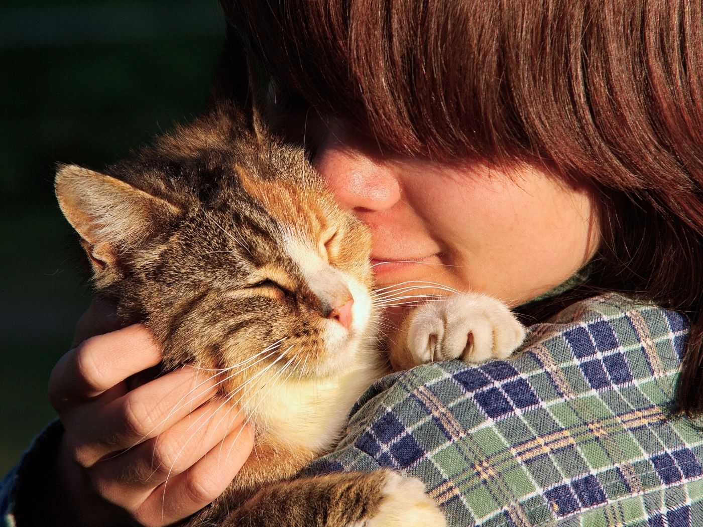 border-collie-giving-high-five-to-woman-800x600-1 child holding a cat affectionately