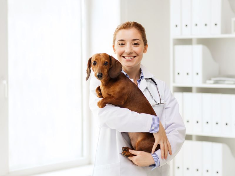 Internal Medicine Consultation