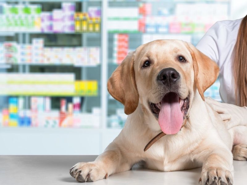 Online Pharmacy