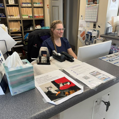 Veterinary receptionist at front desk. Veterinary receptionist at front desk.