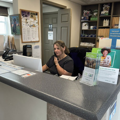 Veterinary receptionist on the phone. Veterinary receptionist on the phone.