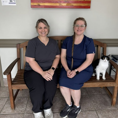 Veterinary workers sitting next to cat Veterinary workers sitting next to cat