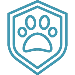 pet insurance