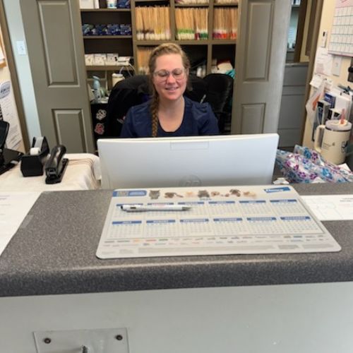 sitting at the front desk of a dental office receptionist sitting at the front desk greeting clients and patients